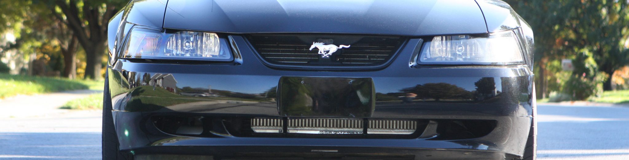 1994 - 04 Mustang V6 (3.8, 3.9)