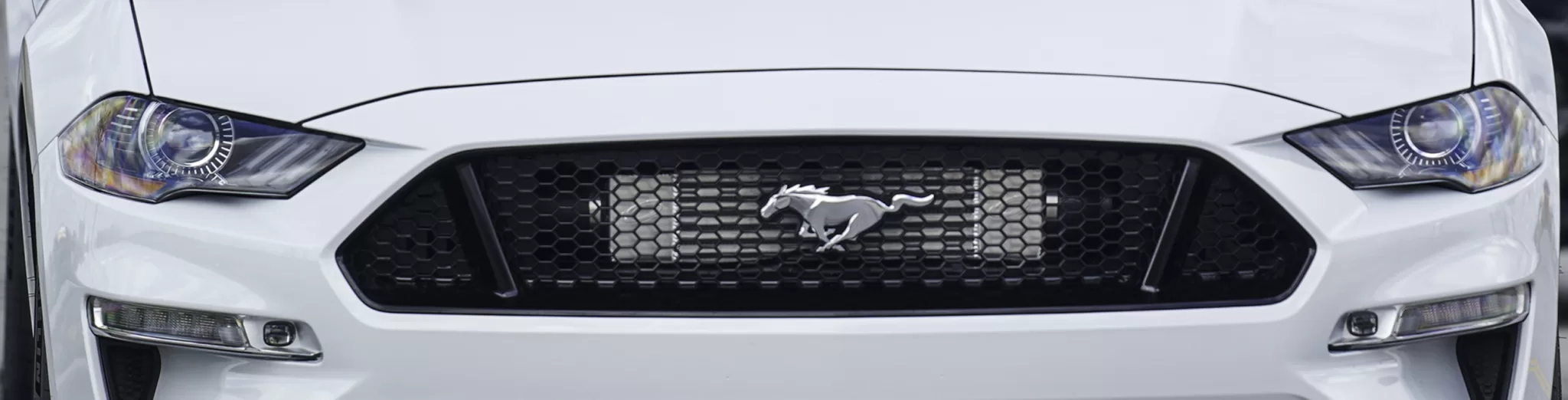 2018 - 23 Mustang GT (5.0L 4V)